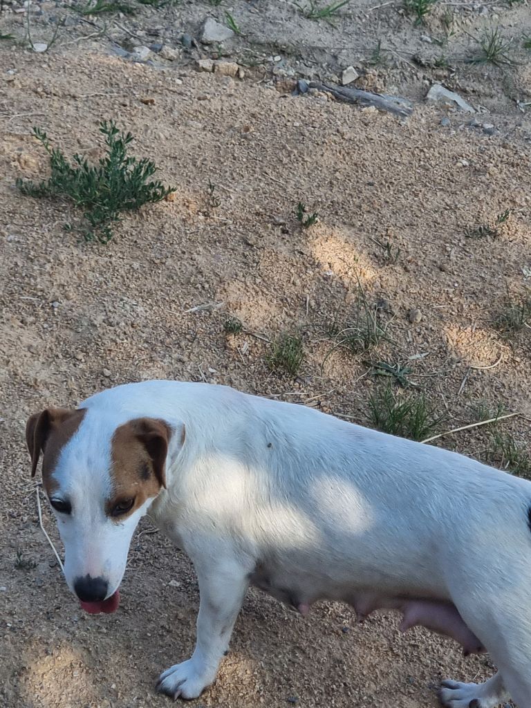 Roxy La Seigneurie Du Domaine D'Eole